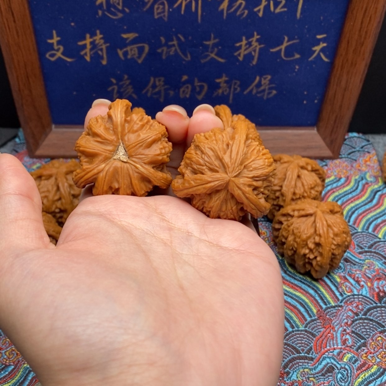 【闪购商品】聽**雲白狮