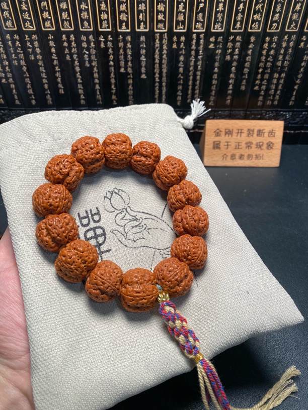 超头新籽玉龙梅花（14号）