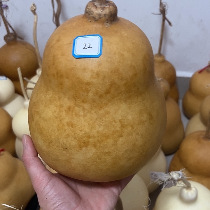 静***心胖墩葫芦葫芦葫芦葫芦