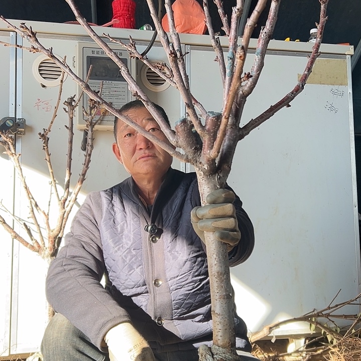 辉煌1-5直播一物一拍