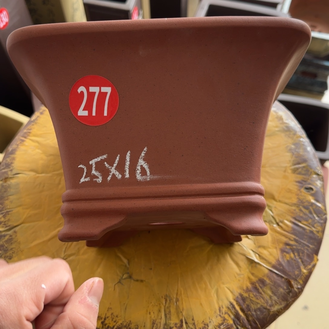 紫砂花盆呜呜呜呜呜我的