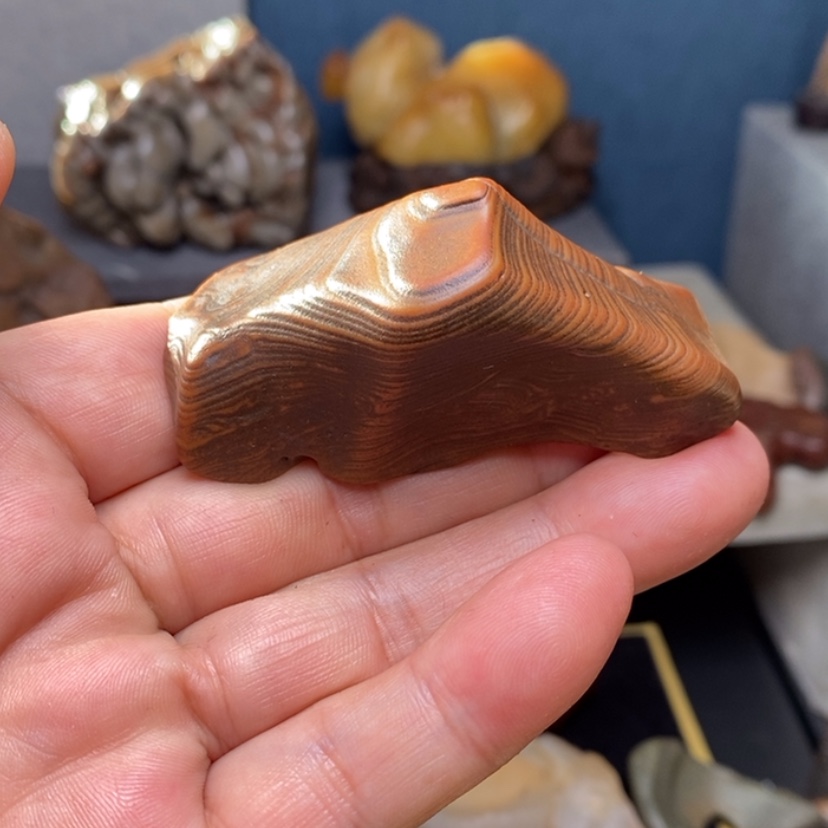 【闪购商品】西*月x x x x x x x x x x