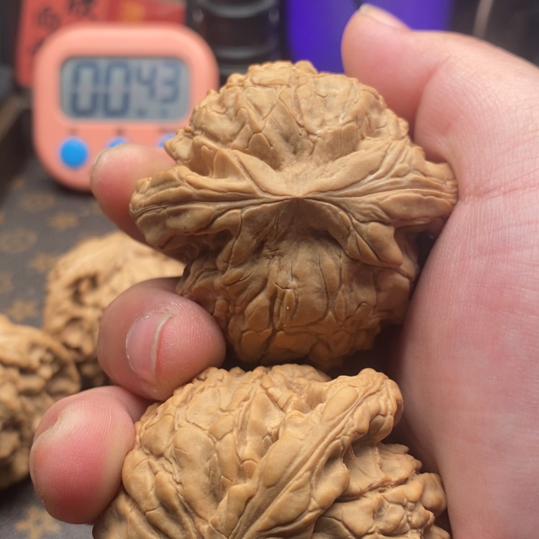 文玩核桃吊坠A****磊霸王龙