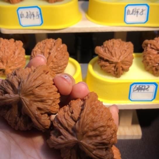 姚***疯核桃手串/手链白狮子