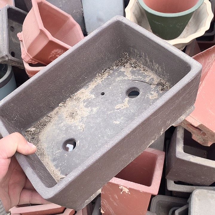 紫砂我要不明天就要开始啦