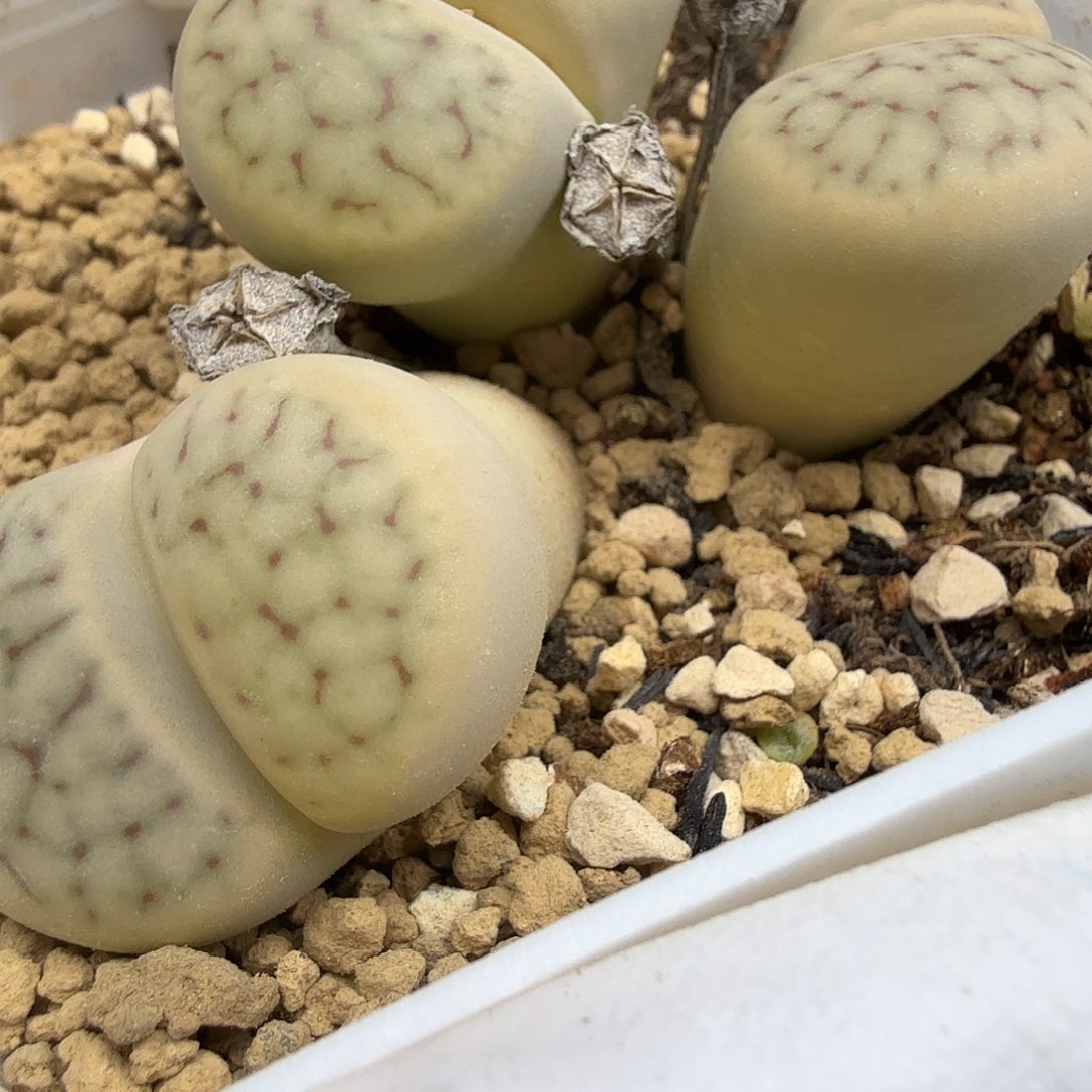 就可以用这笔的时间解决这些200