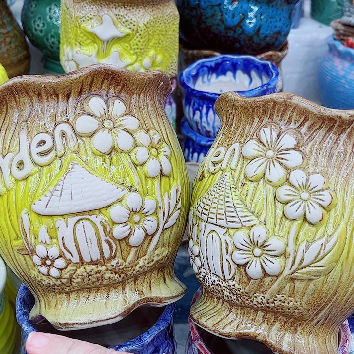 多肉植物陶瓷花盆