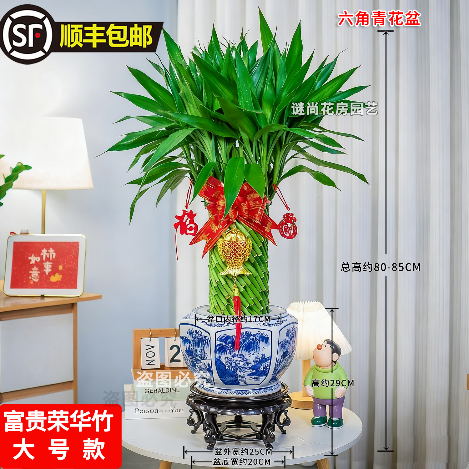 顺丰快递水培富贵荣华竹室内办公室客厅绿植盆栽乔迁开业送礼佳品