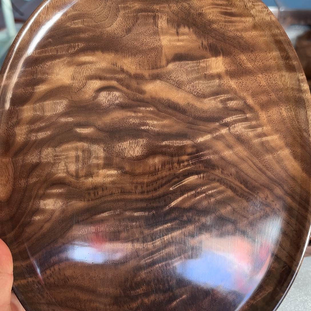 北美黑胡桃山峰凤尾