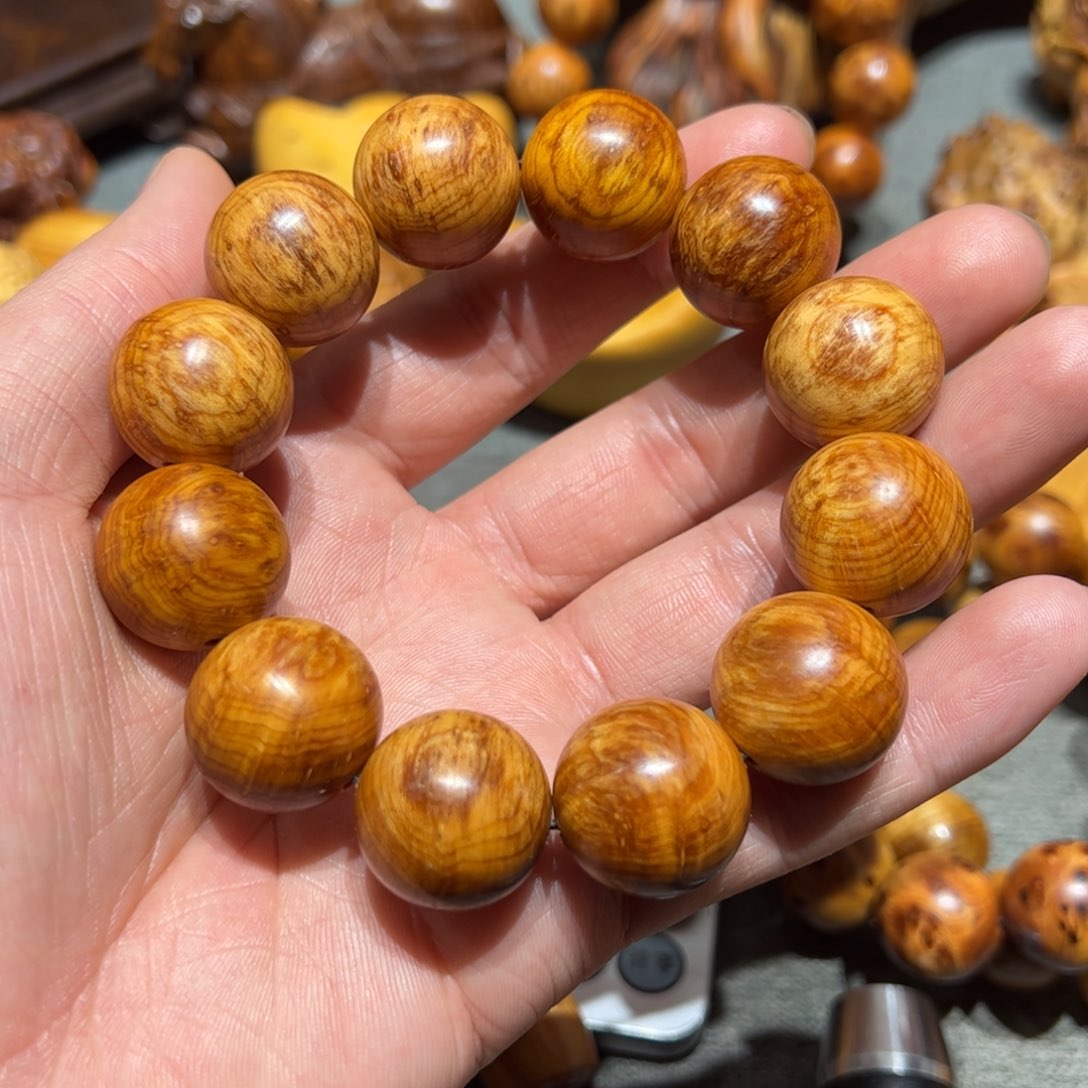 太行崖柏陈化太行