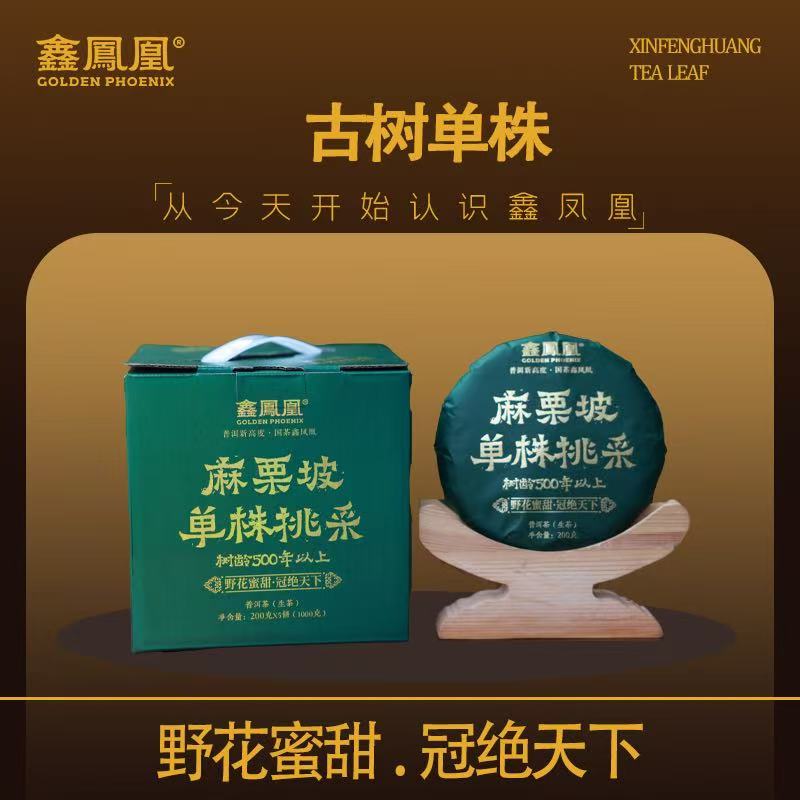鑫凤凰2025年麻栗坡古树单株挑采200g