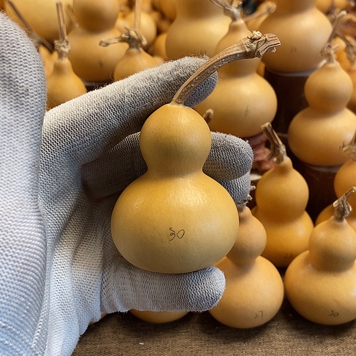 文玩葫芦 完美主义者 慎拍30