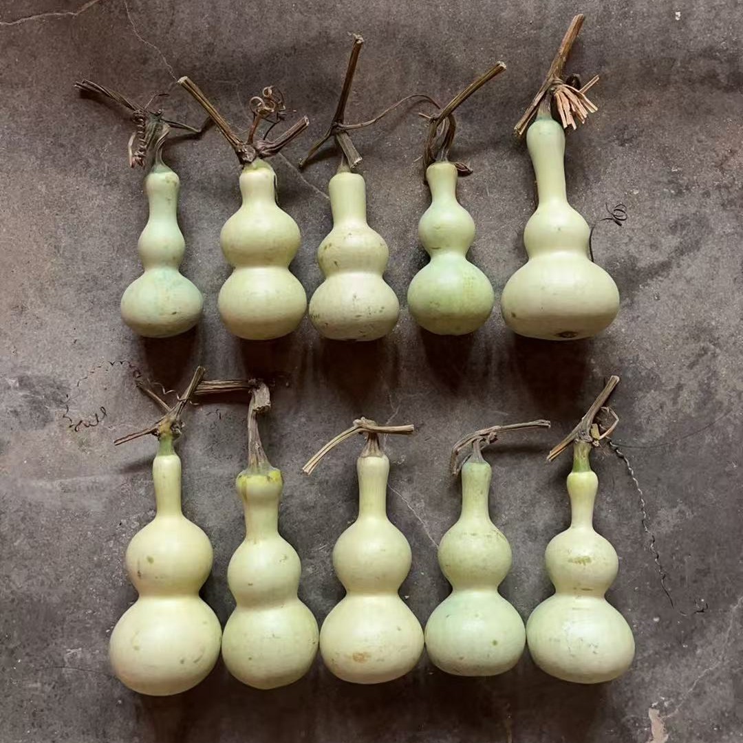 精品葫芦直播间链接，请勿私拍