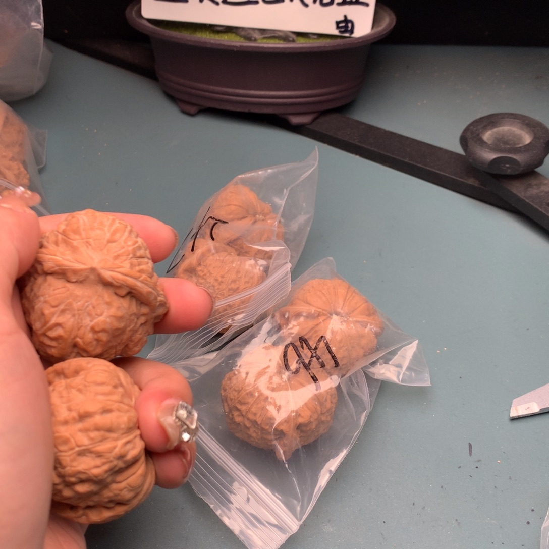 文玩核桃把件全品南瓜4647