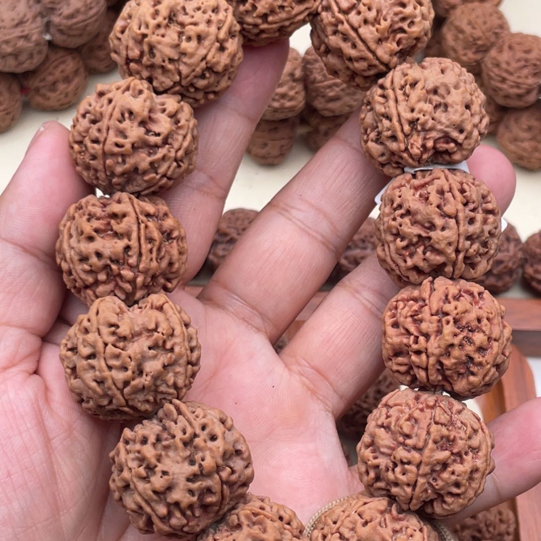 安娜粉红皮25大梅花