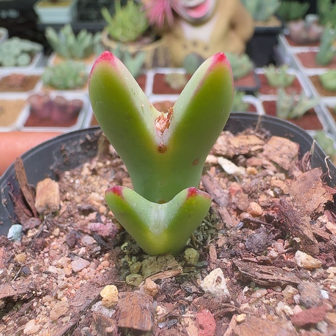 哈哈哈哈哈哈哈哈。757