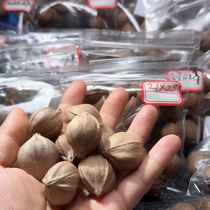 吊坠橄榄核2.8❌3.4