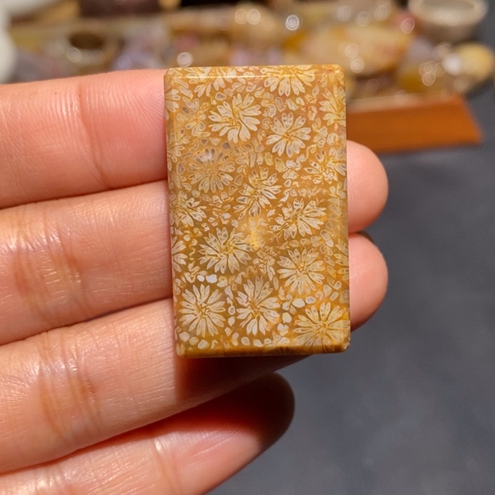 【闪购商品】未镶嵌珊瑚玉硅化玉
