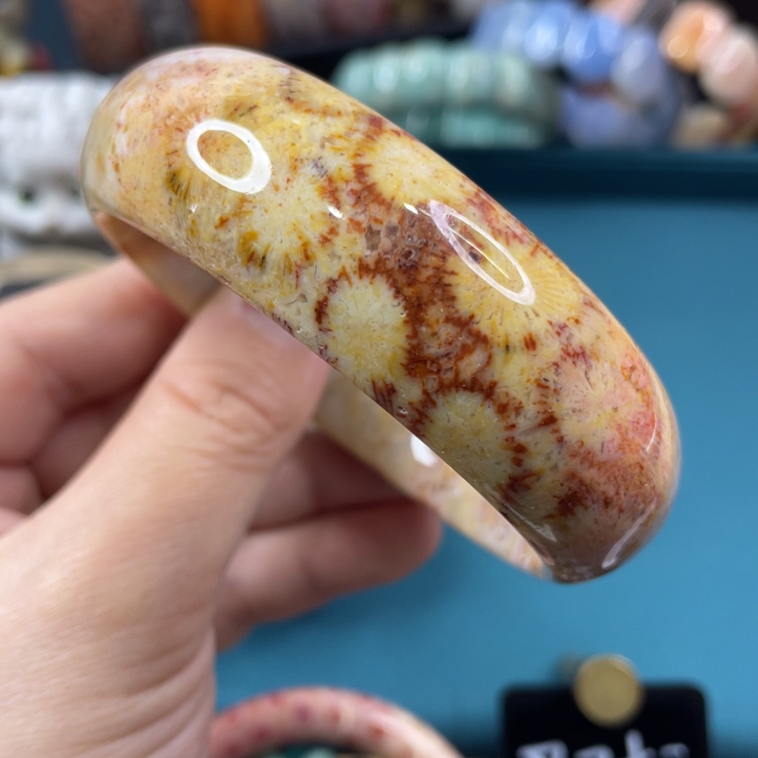 未镶嵌手镯硅化玉