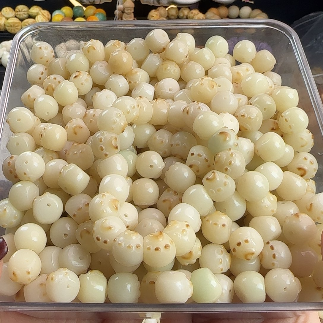 菩提根/象牙果手串卡13猫爪蒜瓣大肠100颗