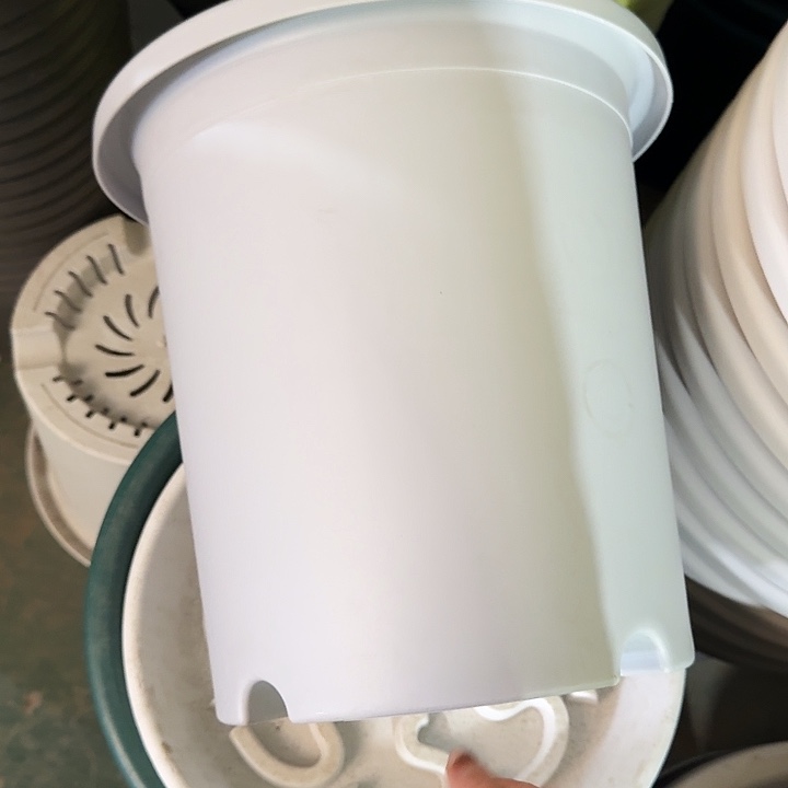 四季7号新灰白无托6个特价微瑕