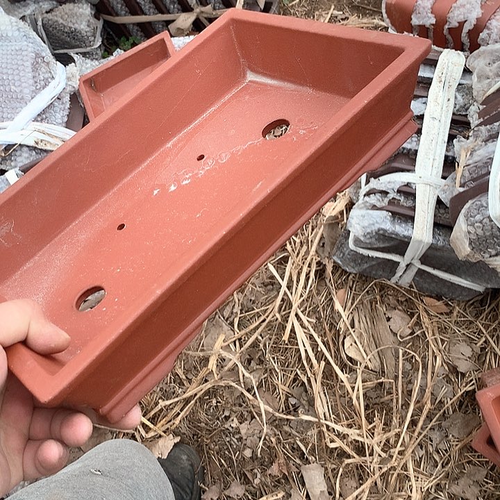 紫砂哈哈真的是太给力太火爆了不是吗