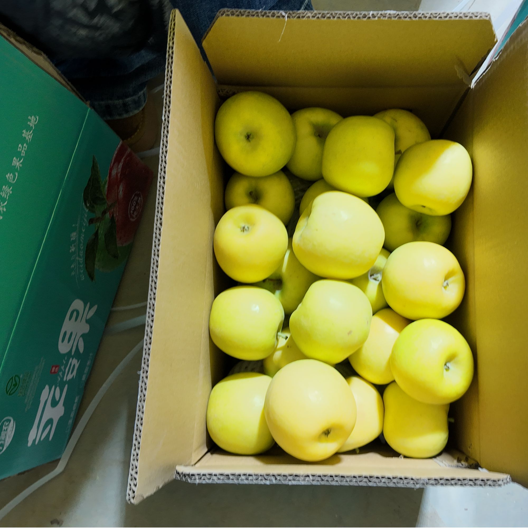 箱装十斤顺丰脆甜多汁当年新果瑞雪瑞阳