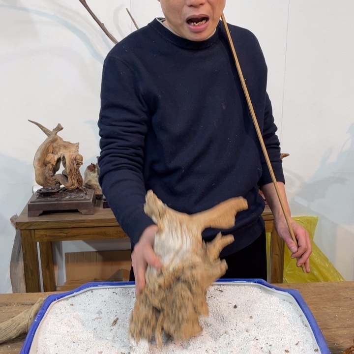 少****）我们都是好孩子呀