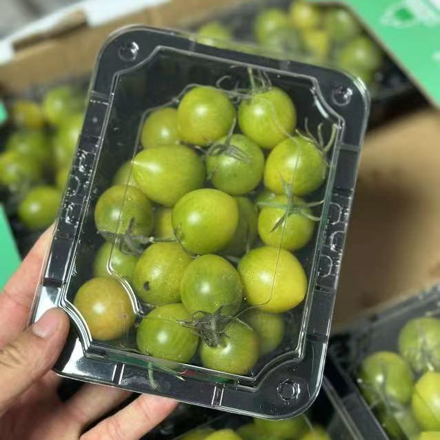 甜心枸杞清甜小番茄西红柿北京市