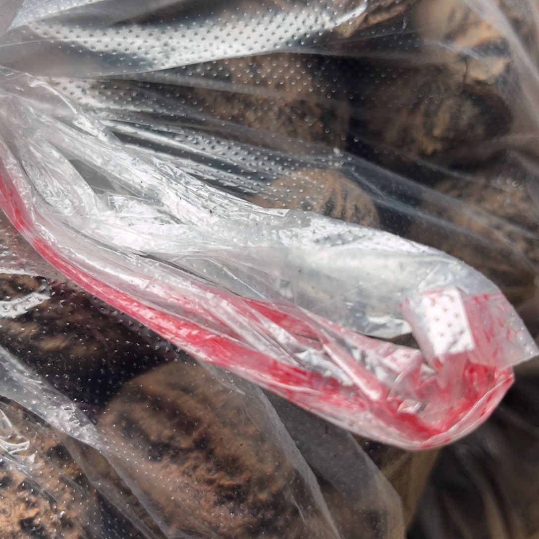 手串文玩核桃仰**空核桃94