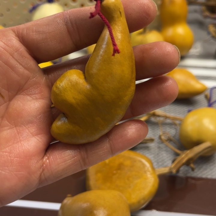 ****黄葫芦哈哈哈哈哈哈回家