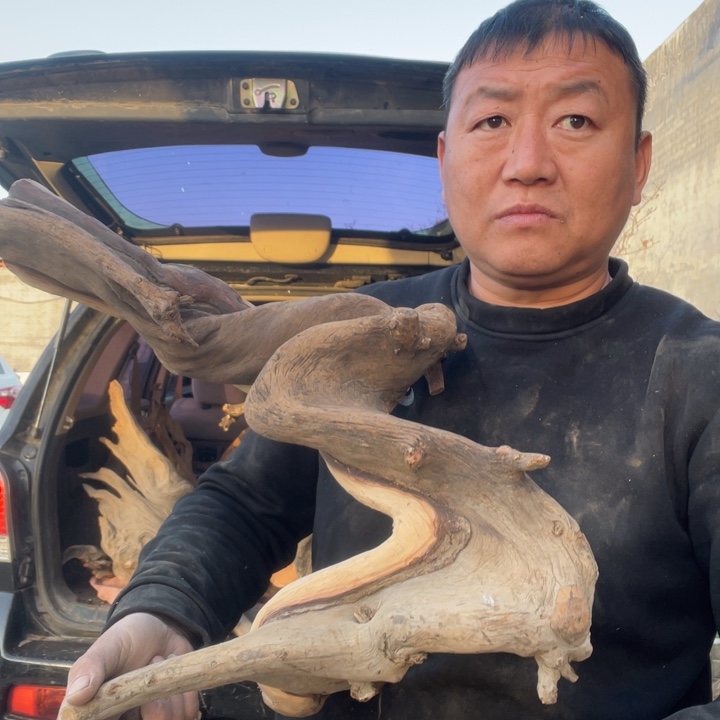 我***棒柏木（崖柏）啊啊啊啊啊啊啊啊啊