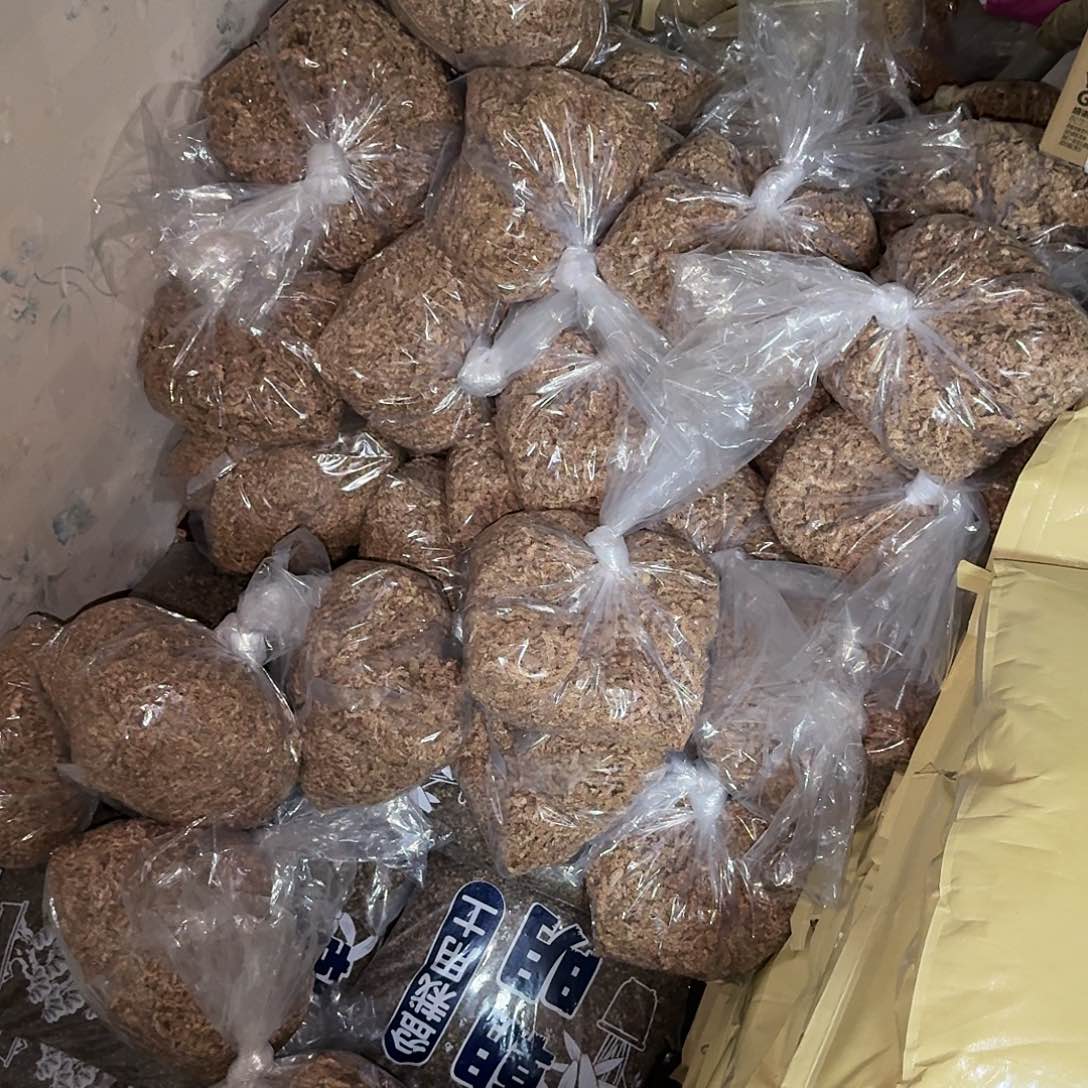 智力七星毛毛虫水苔 半斤装