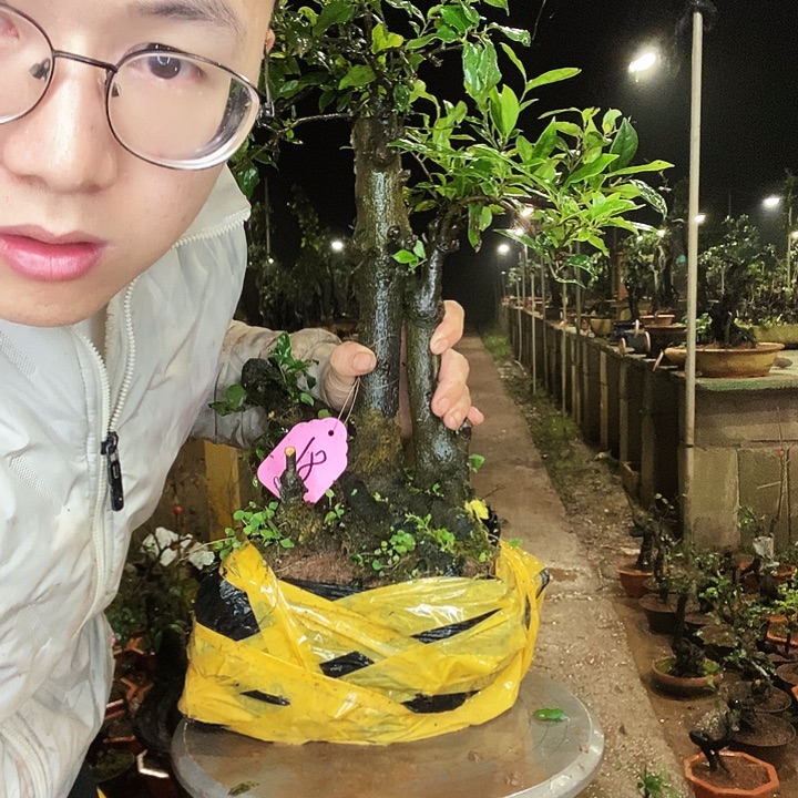 一***前无花朵国际环境工程方法