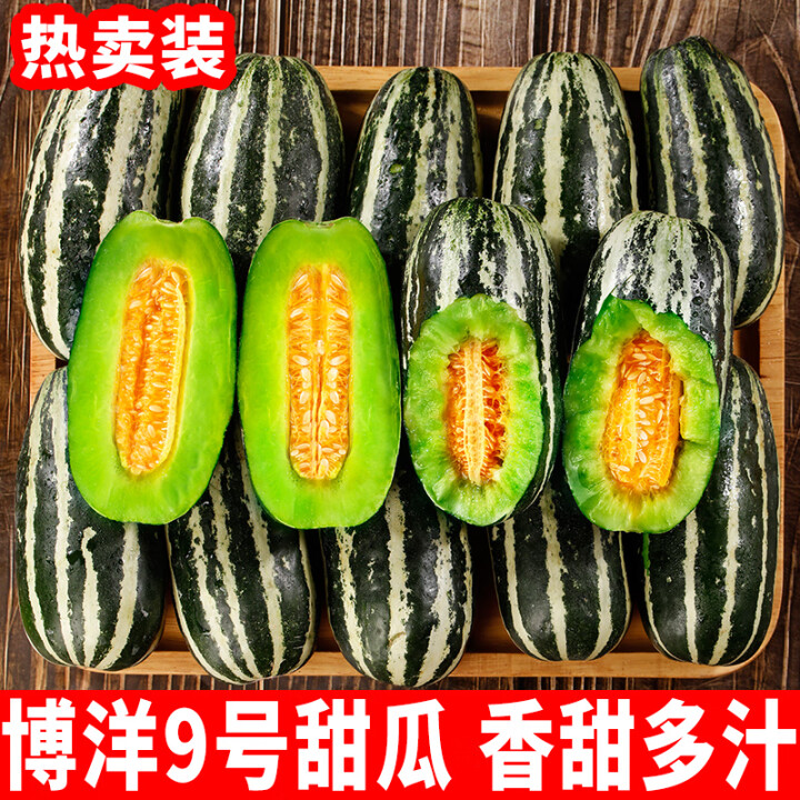 【5斤】山东头茬博洋9号甜瓜羊角蜜瓜新鲜水果现摘香瓜