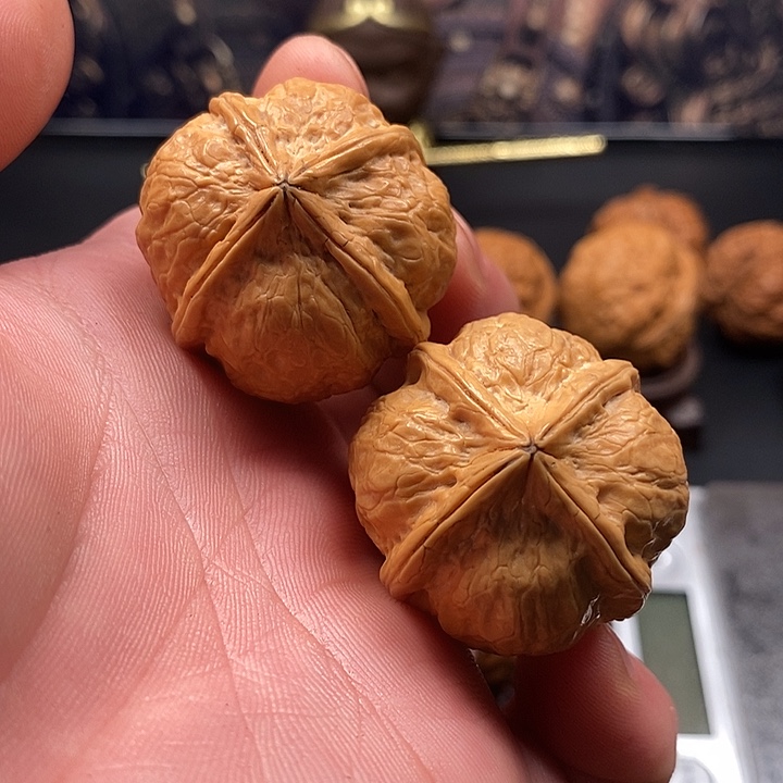 把件文玩核桃金蟒四棱