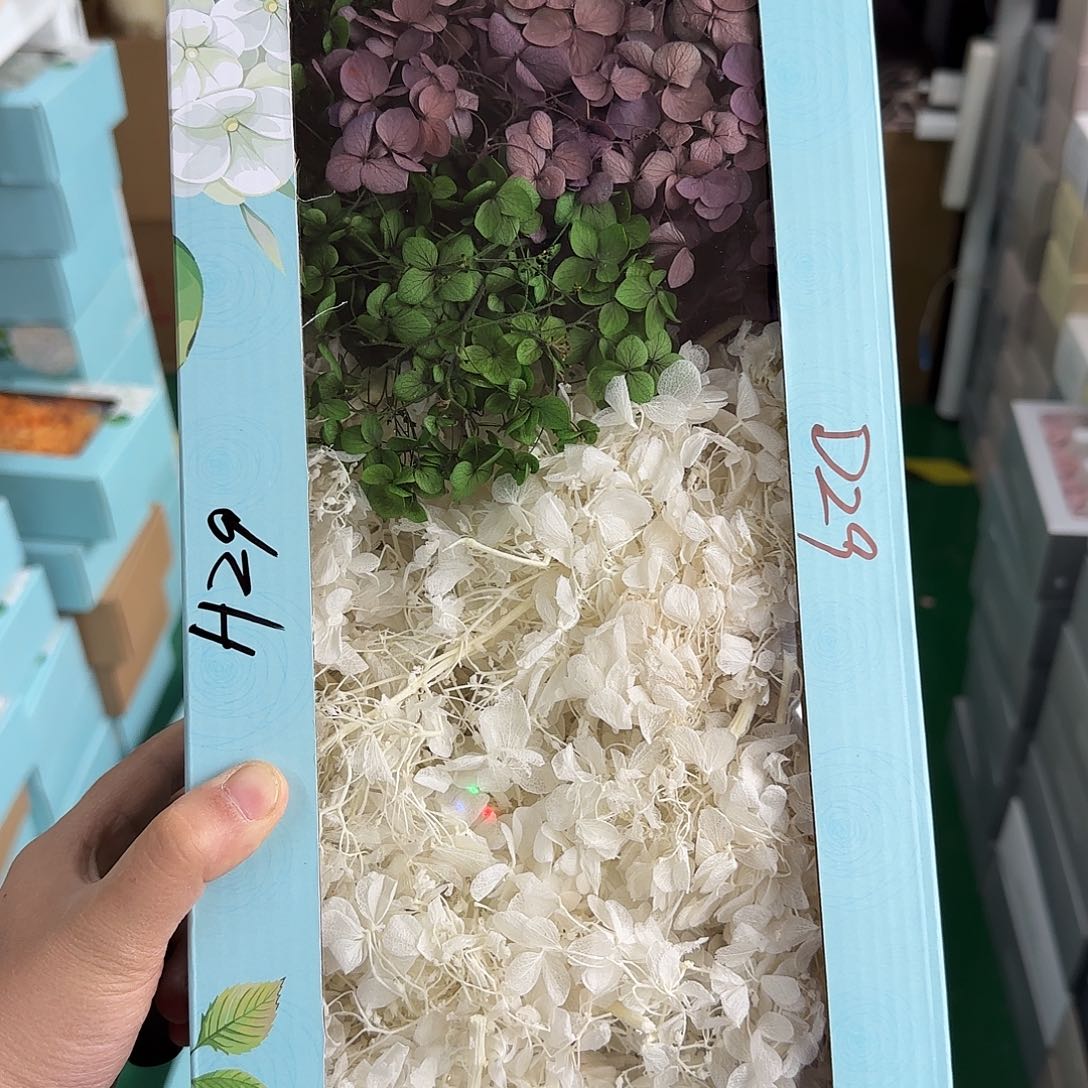 月***圆H29号3色混色绣球