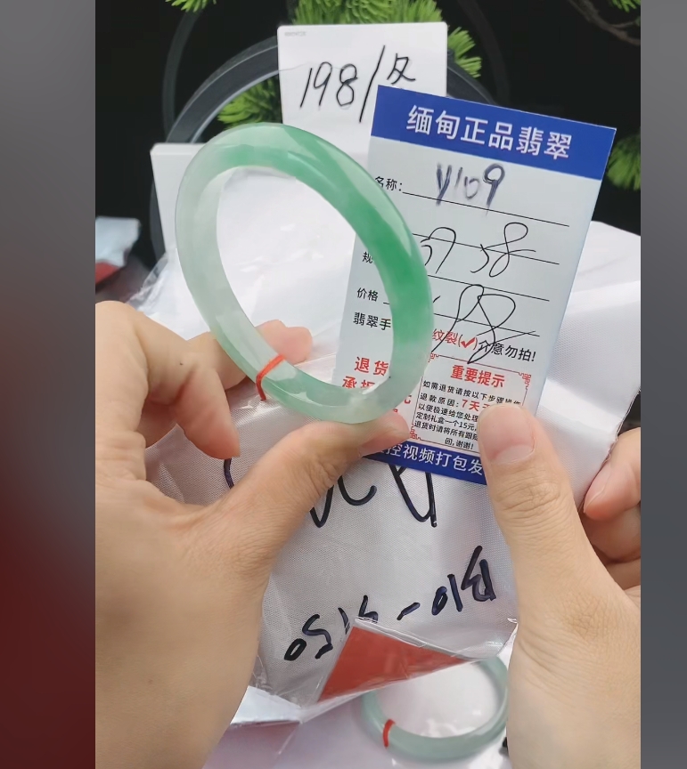 Y109缅甸翡翠手镯处理198/条【一物一证】实物以直播间为准