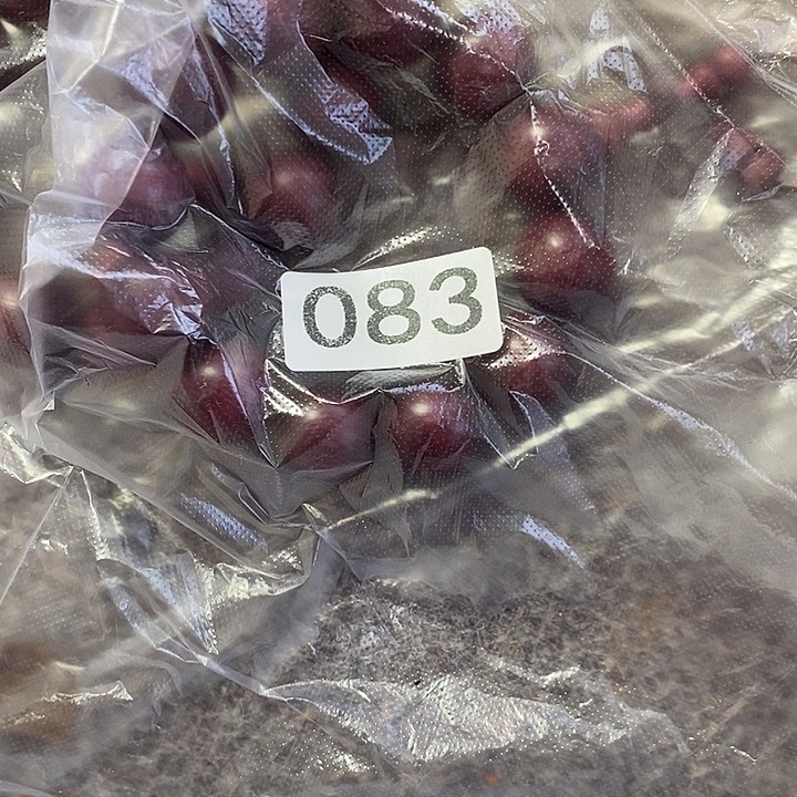 大叶紫檀（黑酸枝木类）秋**律