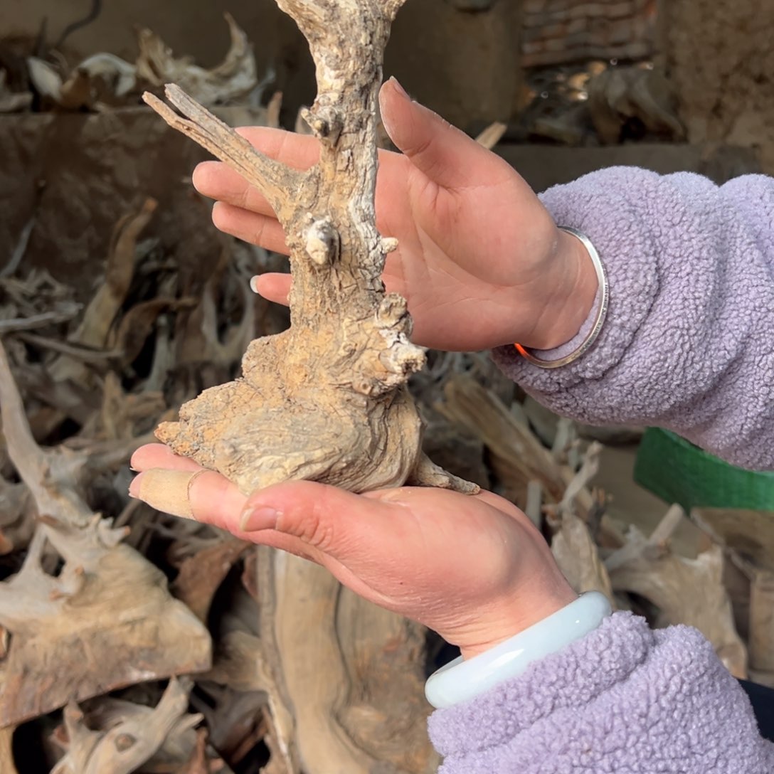 柏木（崖柏）花**缘