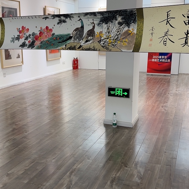 国画书法作品多次参加全国性