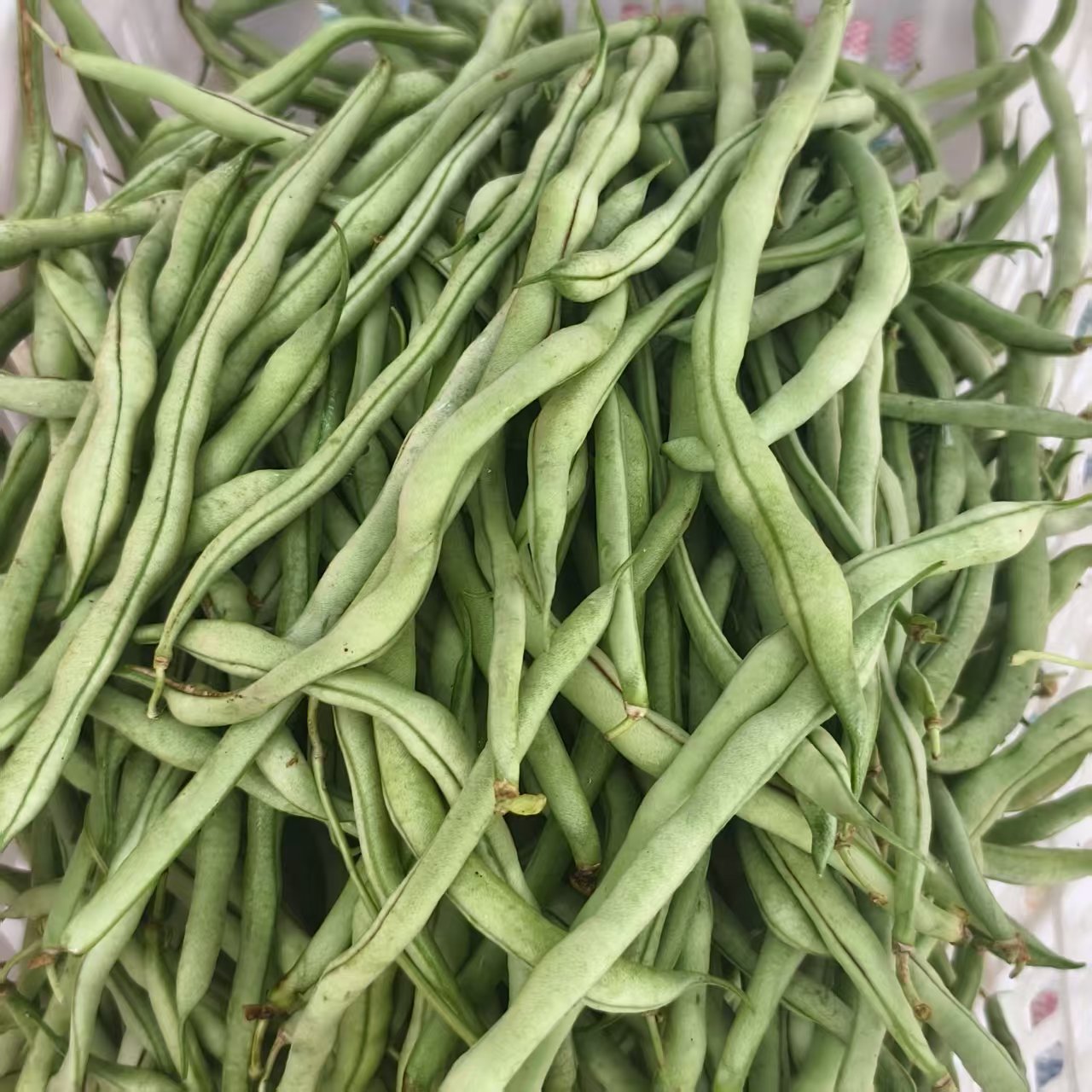 【彬彬专属】【顺丰包邮】东北架豆王豆角3斤