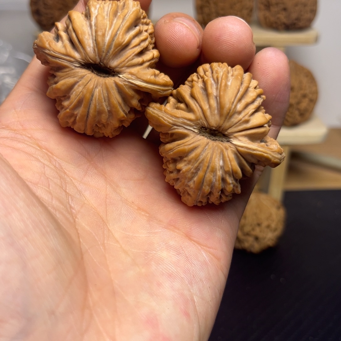 大叶紫檀（黑酸枝木类）42+四座楼