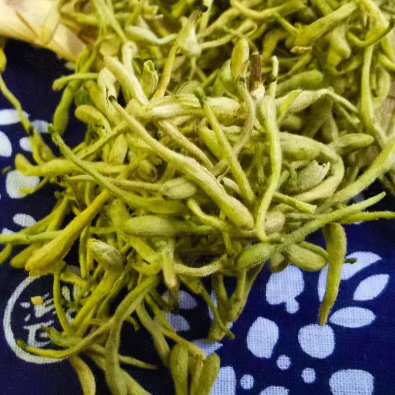 大山里的山货  金银花