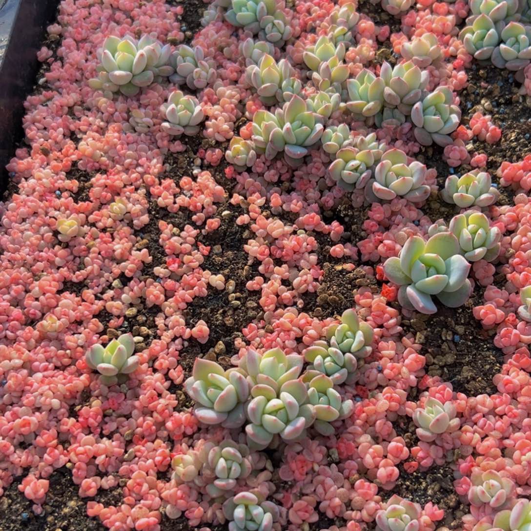 爱***姐414大热的一天从早上开始就