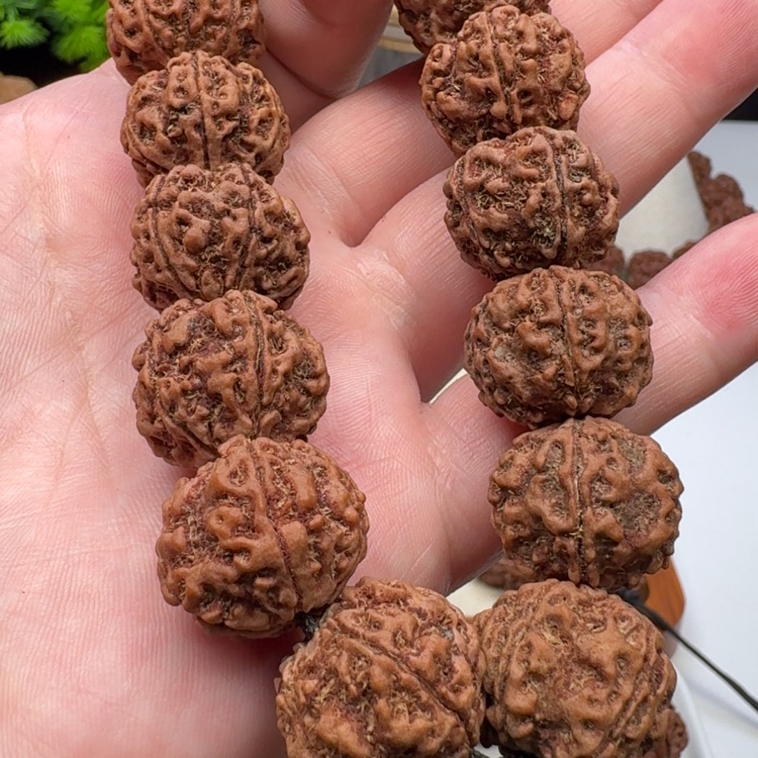 金刚菩提手串粗筋蜂窝双龙
