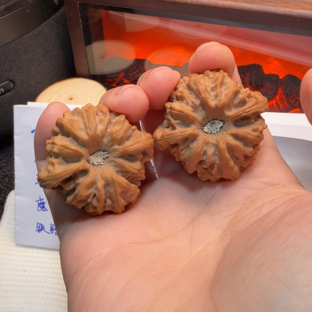 核桃37+龙门涧，，，