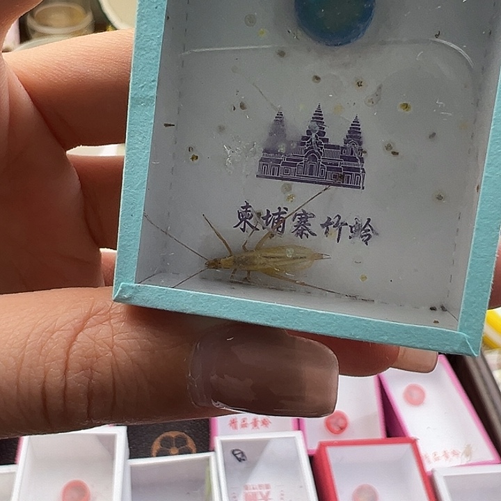 鸣虫虫具一个包邮