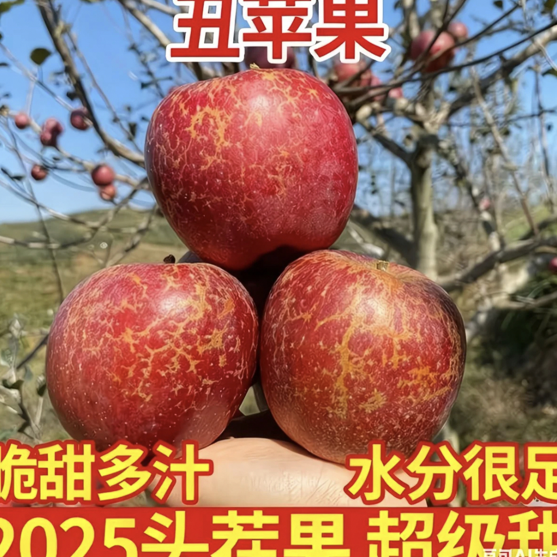 四川大凉山盐源丑苹果新鲜现摘脆甜多汁冰糖心水果多仓发货