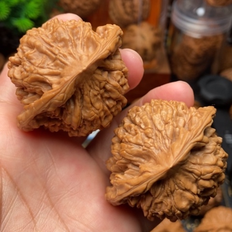 文玩核桃吊坠官帽51全品